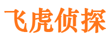 福泉市调查公司